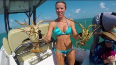 [ID: 0ICjTF7Zwqs] Youtube Automatic