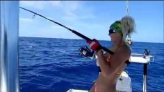 [ID: 0ZIEOVkwsLM] Youtube Automatic