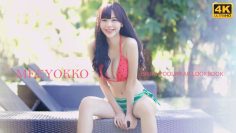 [ID: 1_vcETLvlDk] Youtube Automatic