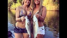 [ID: 20q9-Emb7XU] Youtube Automatic