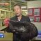 Big Black Chicken Scares Australian Reporter