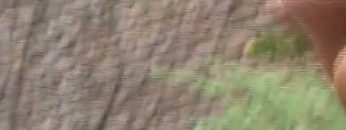 [ID: 2hOKnudmroA] Youtube Automatic