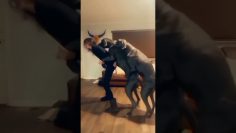 [ID: 3QnZME7C1I0] Youtube Automatic