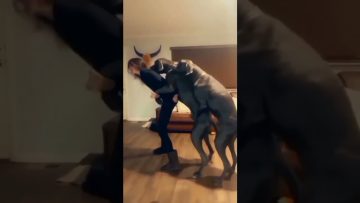 [ID: 3QnZME7C1I0] Youtube Automatic