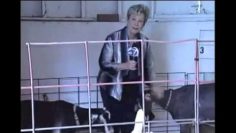 [ID: 4rJfiM7IDbI] Youtube Automatic