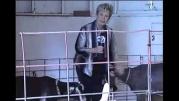 [ID: 4rJfiM7IDbI] Youtube Automatic