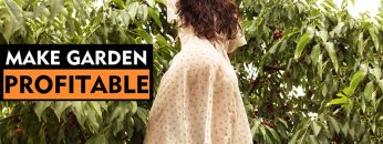 [ID: 5B4E8rGfG_U] Youtube Automatic