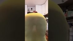 [ID: 5UTUdJ1vKH8] Youtube Automatic