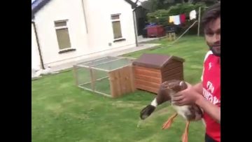 [ID: 6jmt6RxFA7A] Youtube Automatic