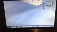 [ID: 8NA1hQXKnFY] Youtube Automatic