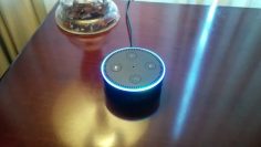 [ID: 9ird5THhosY] Youtube Automatic