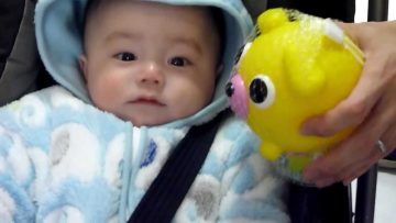 [ID: aqyGUfeaHIg] Youtube Automatic