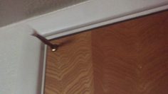 [ID: BAsud-g7xic] Youtube Automatic