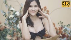 [ID: bkO-nWzHJLo] Youtube Automatic