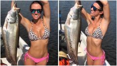 [ID: BM8QPTSPk1c] Youtube Automatic