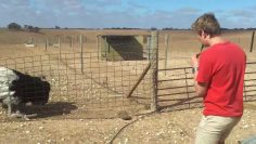 [ID: C4J1yOGJ9wI] Youtube Automatic