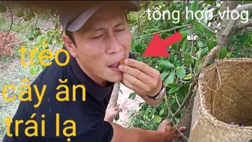 [ID: CFiM5rWK5K0] Youtube Automatic