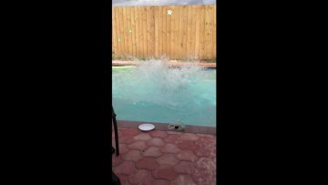 [ID: FmOvFFh0cbc] Youtube Automatic