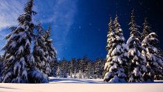 [ID: Gx-d2Dx0u-M] Youtube Automatic