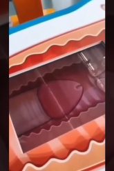 [ID: HdDiuG6r9Eo] Youtube Automatic