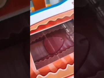 [ID: HdDiuG6r9Eo] Youtube Automatic