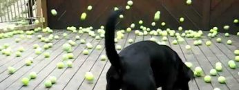 [ID: hLYMD6R6PvU] Youtube Automatic