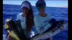 [ID: HTpzPCooJDY] Youtube Automatic