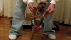 [ID: IClJfvMHtpo] Youtube Automatic