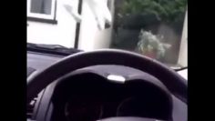 [ID: ixlurWilkt8] Youtube Automatic