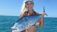 [ID: j-V4bfcMDqY] Youtube Automatic