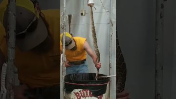 [ID: k3Q8JxsA4II] Youtube Automatic