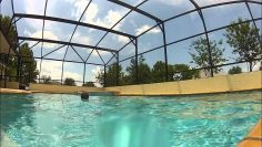 [ID: l8CJE4IMw3o] Youtube Automatic