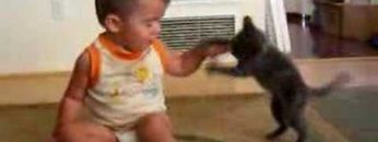 [ID: LSrbgEuqBOY] Youtube Automatic