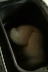 [ID: lwtB-rmV8eE] Youtube Automatic