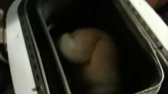 [ID: lwtB-rmV8eE] Youtube Automatic