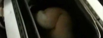 [ID: lwtB-rmV8eE] Youtube Automatic