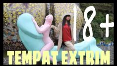 [ID: Mf-jlE7k3rs] Youtube Automatic