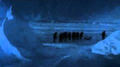 [ID: nFAK8Vj62WM] Youtube Automatic