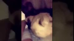 [ID: nU6c3pcqrLE] Youtube Automatic