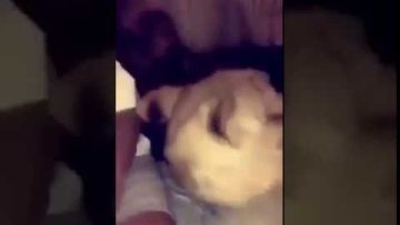 [ID: nU6c3pcqrLE] Youtube Automatic