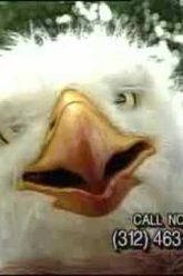 [ID: O4-e4nlfdRI] Youtube Automatic