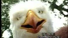 [ID: O4-e4nlfdRI] Youtube Automatic