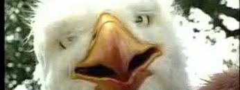 [ID: O4-e4nlfdRI] Youtube Automatic