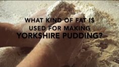 [ID: ODSI3p7hWaM] Youtube Automatic