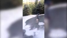 [ID: oeb5LdAyLC8] Youtube Automatic