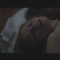 The Notebook Love Scene Number2