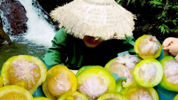 [ID: PeBiBnEOneA] Youtube Automatic