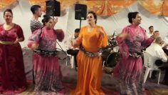 [ID: pH69pFGKFT0] Youtube Automatic