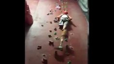 [ID: PjphjE9QKA8] Youtube Automatic