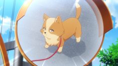 [ID: qt7YNe-ETFQ] Youtube Automatic